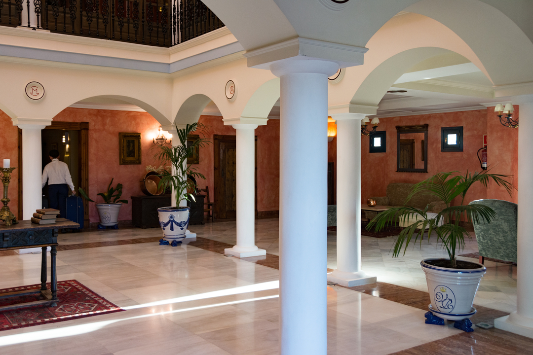 20171002 180835 , Valencina de la Concepcion, Andalusia, Spain